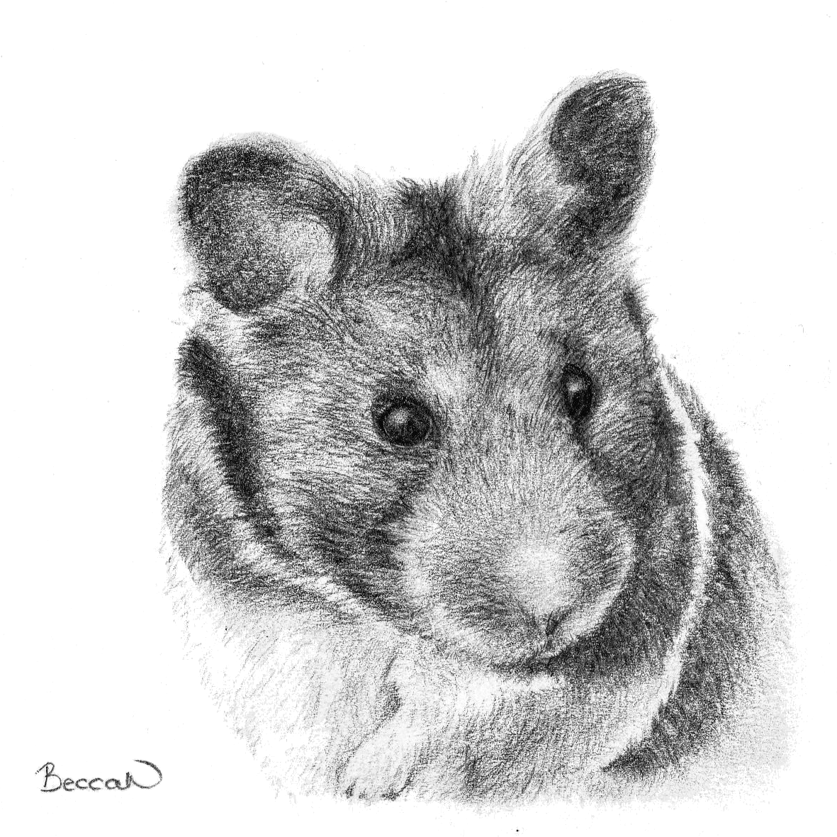 Miniature pet portrait commission
