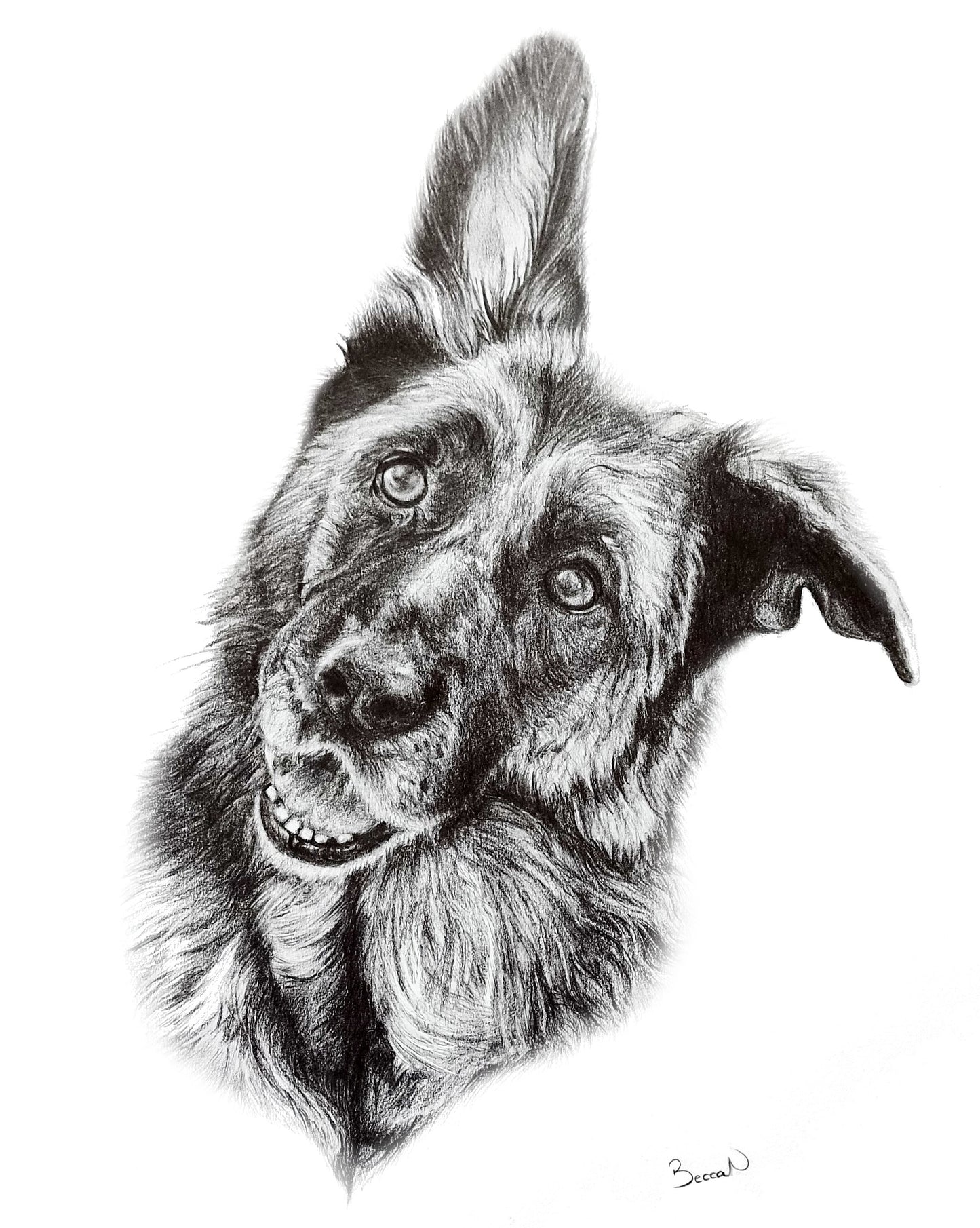 Pet portrait commission