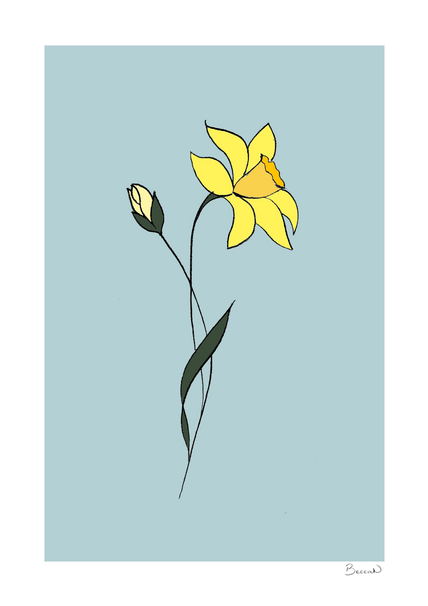 Daffodil