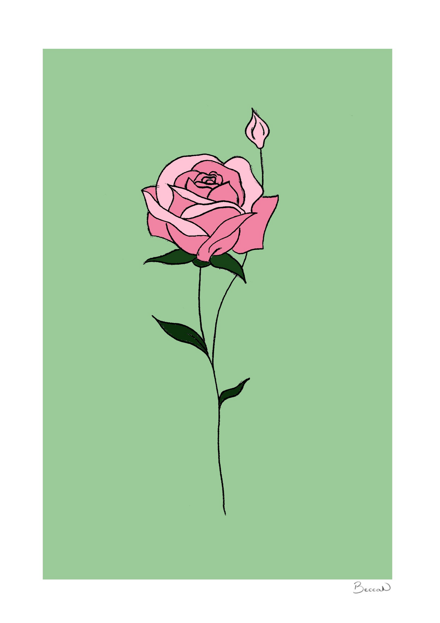 Rose