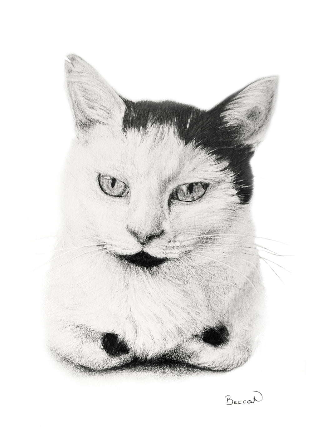 Pet portrait commission