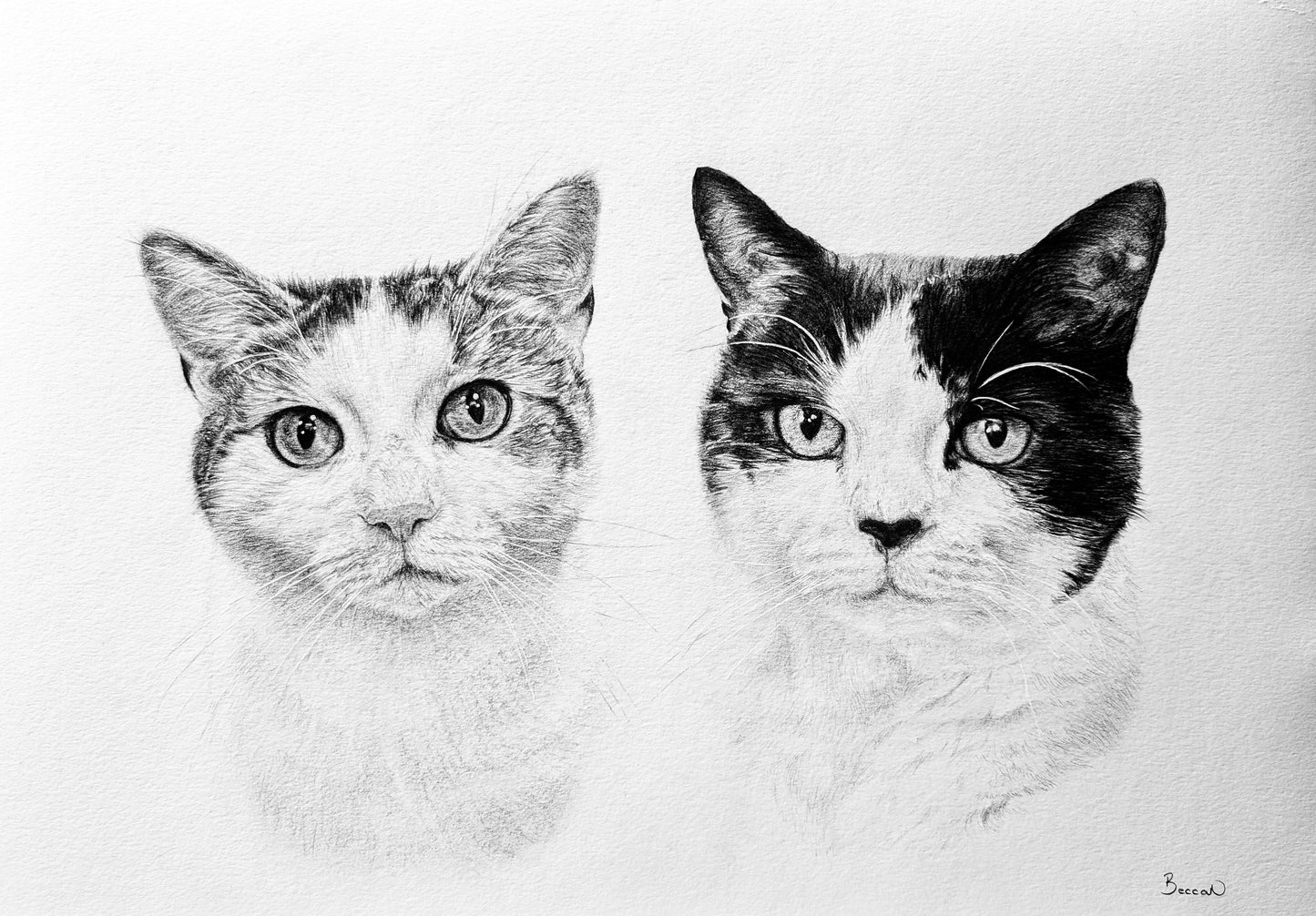 Pet portrait commission