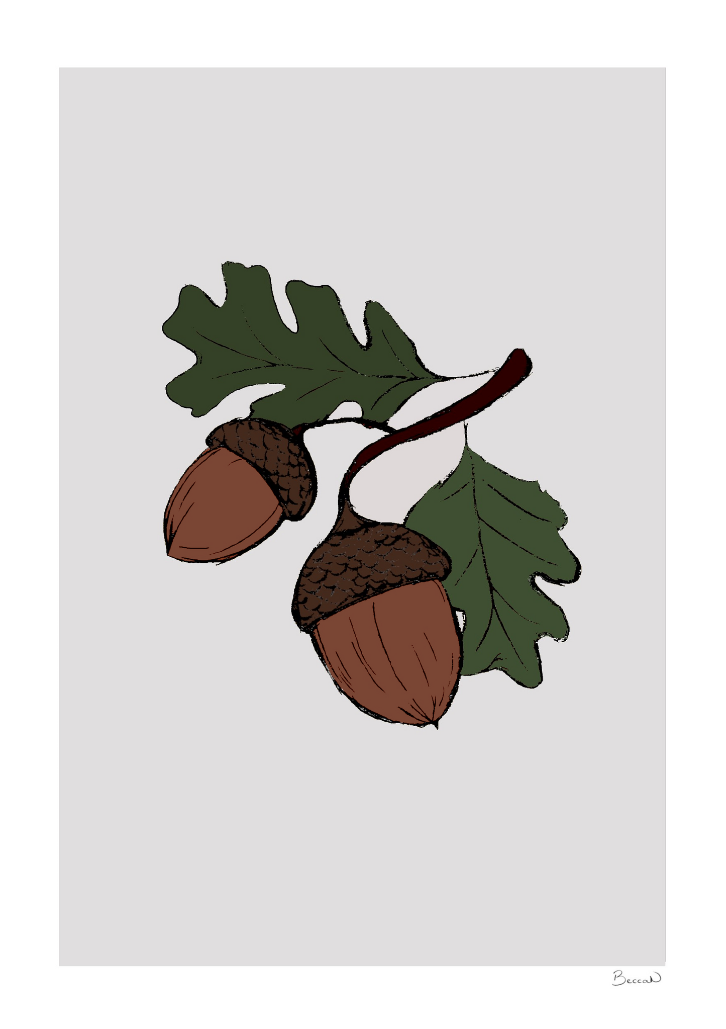 Acorns