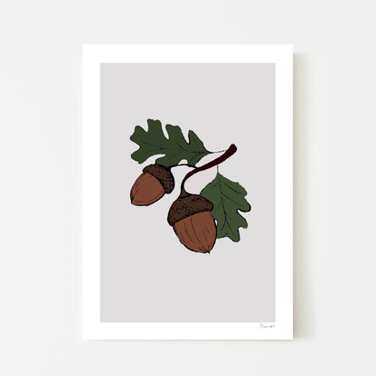 Acorns