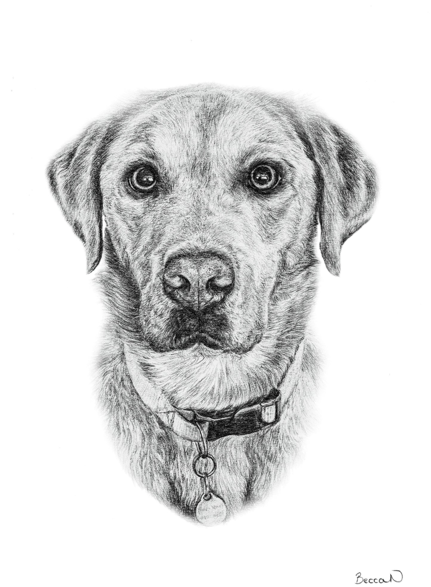 Pet portrait commission