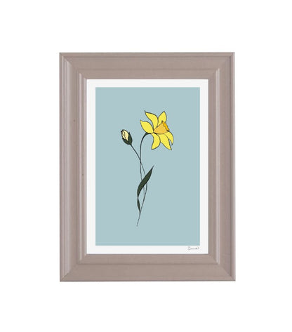 Daffodil