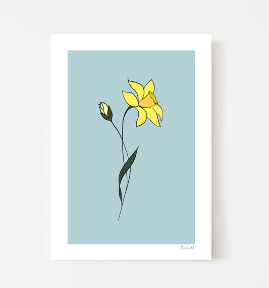 Daffodil